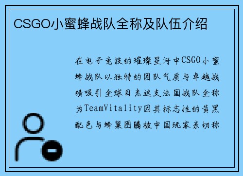 CSGO小蜜蜂战队全称及队伍介绍