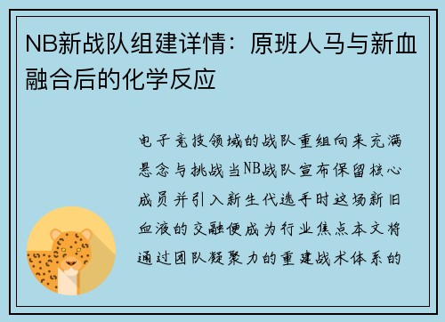 NB新战队组建详情：原班人马与新血融合后的化学反应